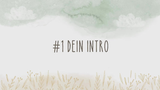 Erklärvideo Piratenschatzsuche